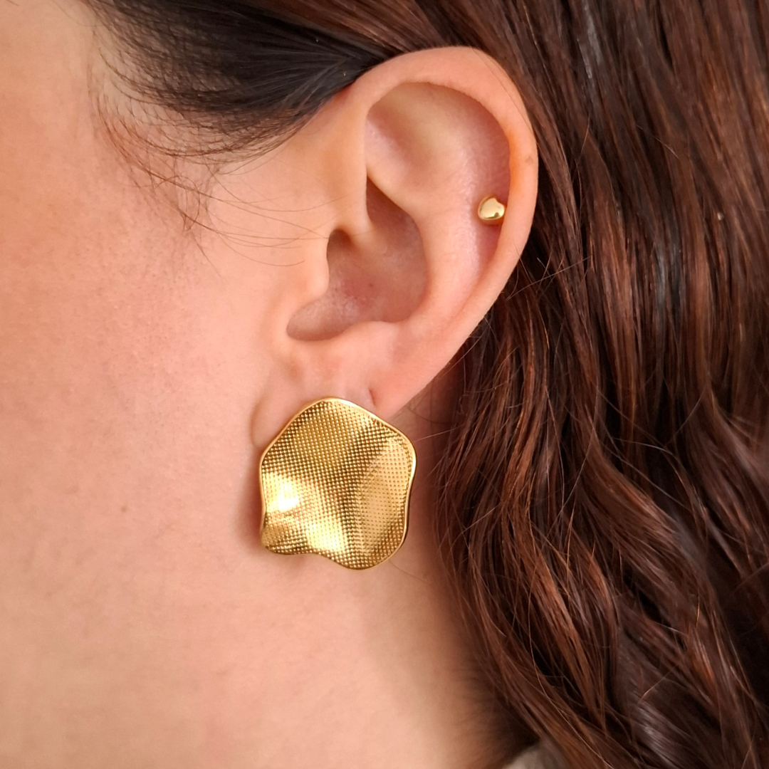 Aretes Brisa