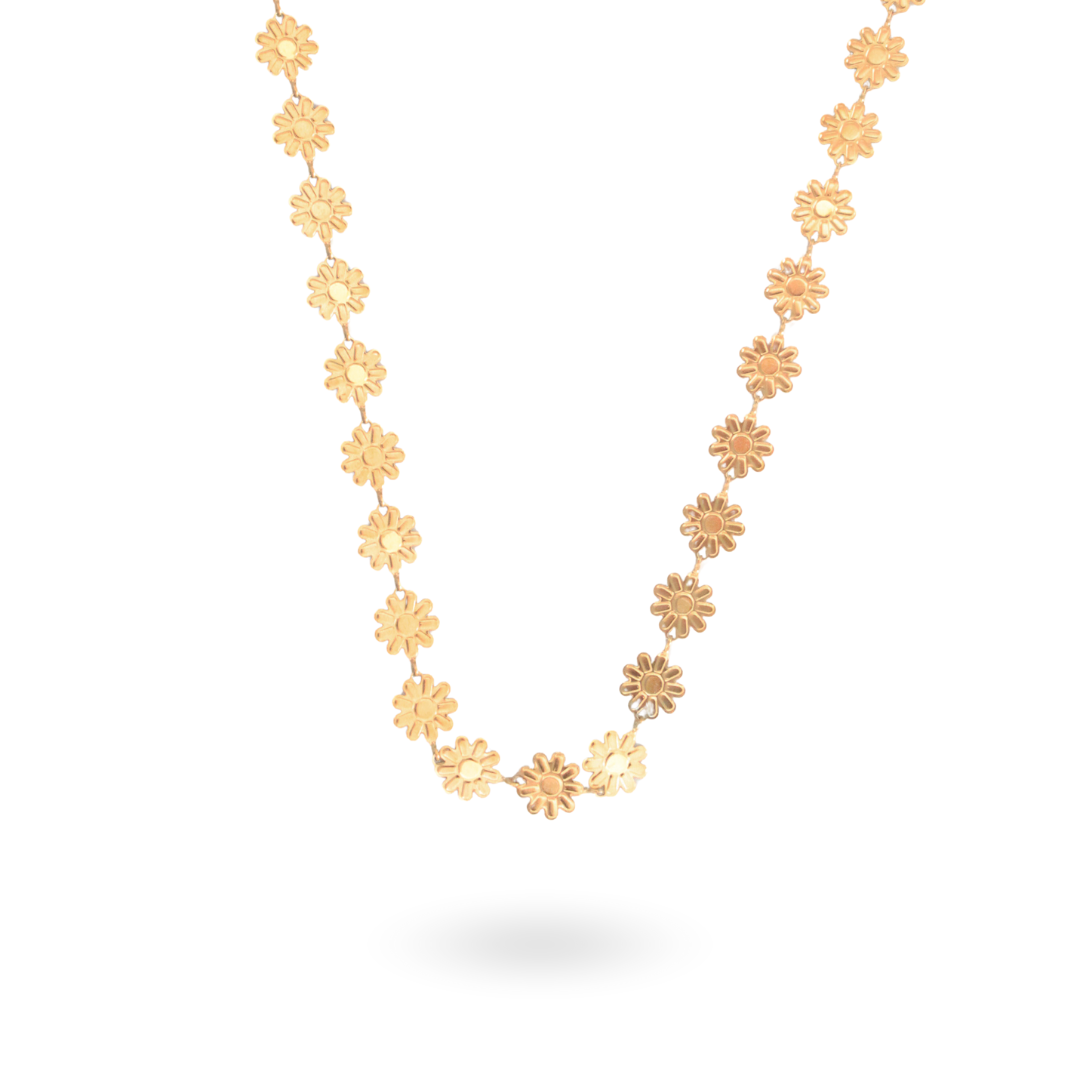 Collar Margaritas
