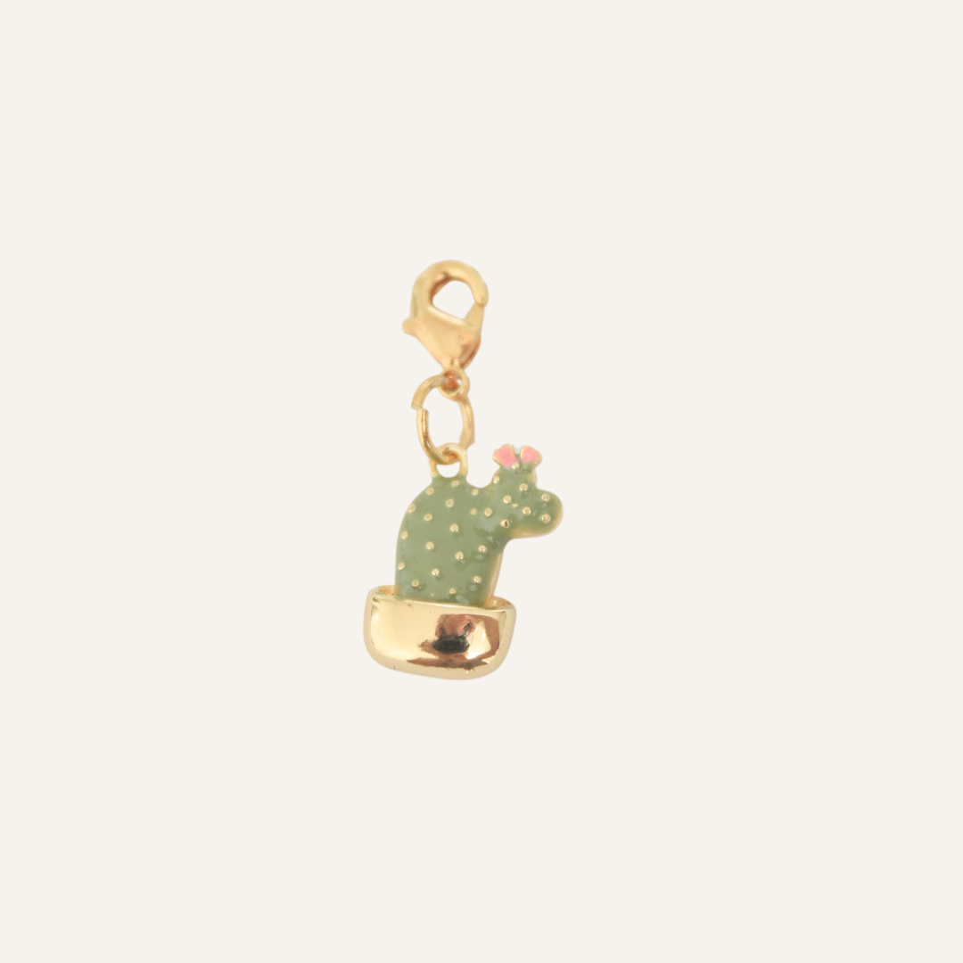 Charm Cactus