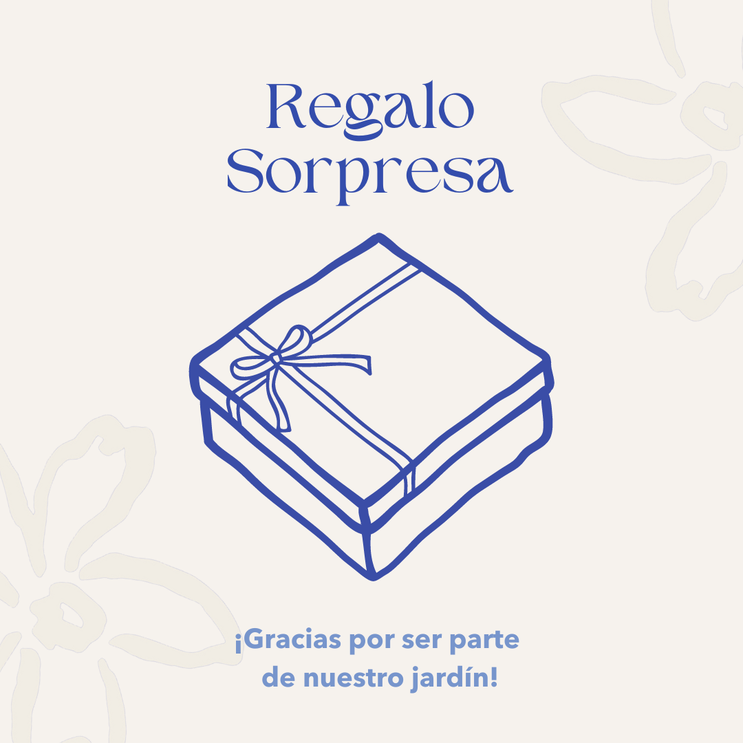 Regalo Sorpresa