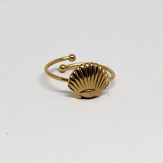 Anillo Concha